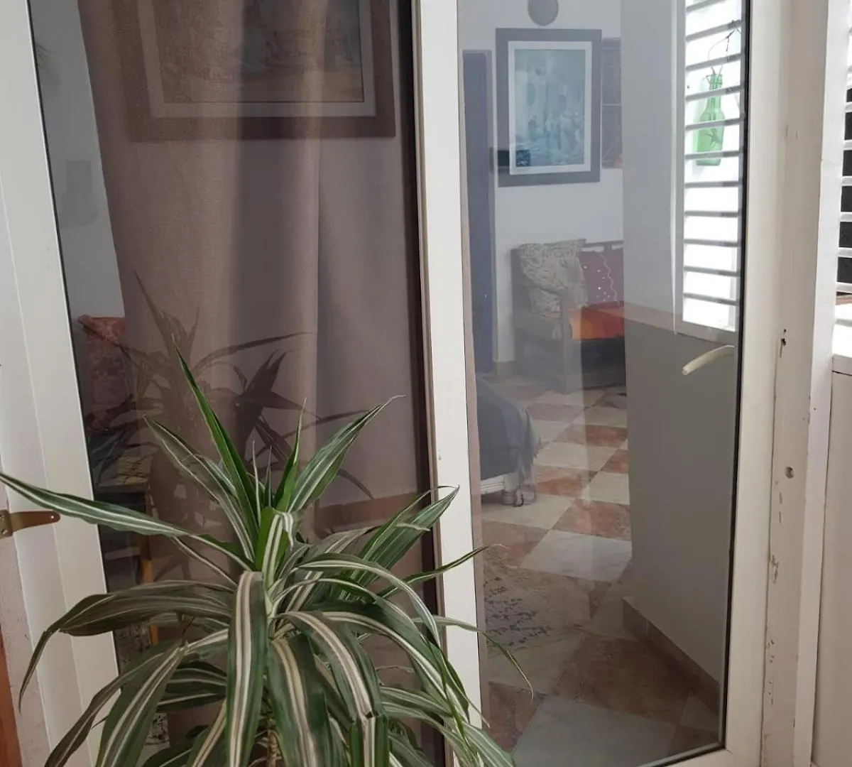 Nizar Surf Morocco Hostel Taghazout